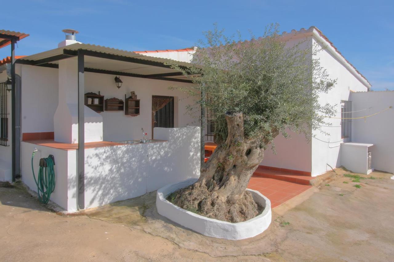 Casa Rural Los Naranjo Jerez De Los Caballeros Exterior photo