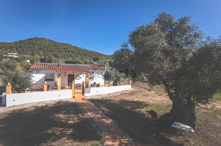 Casa Rural Los Naranjo Jerez De Los Caballeros Exterior photo